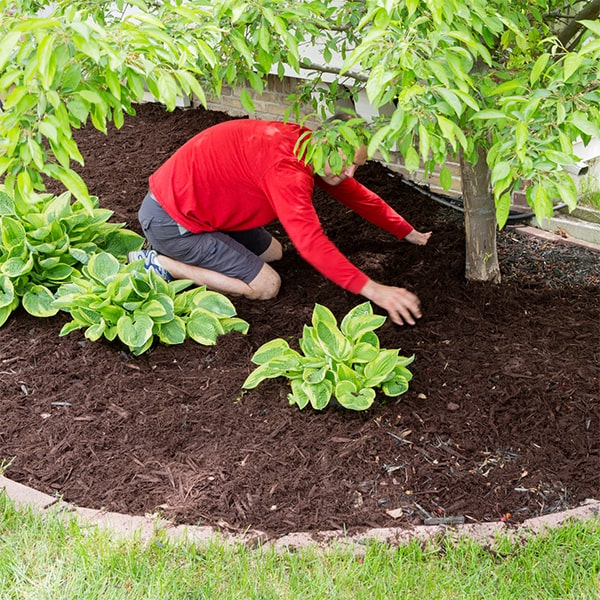 we offer a variety of mulch options for installation, including pine straw, wood chips, and rubber mulch